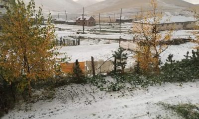 Yılın İlk Kârı Yaylalara Yağdı.