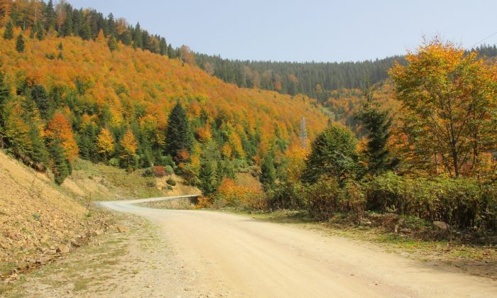 ‘Saklı Cennet’ Güce, Görenleri Kendine Hayran Bırakıyor!