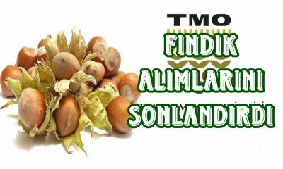 TMO Alımları Sonlandırdı