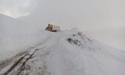 Yaylada Karda Mahsur Kalanlar Kurtarıldı
