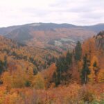 Güce’nin Büyüleyen Sonbahar Güzelliği