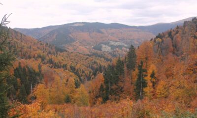 Güce’nin Büyüleyen Sonbahar Güzelliği