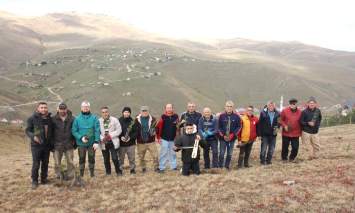 Güce Yaylalarında Yüzlerce Fidanlar Toprakla Buluştu